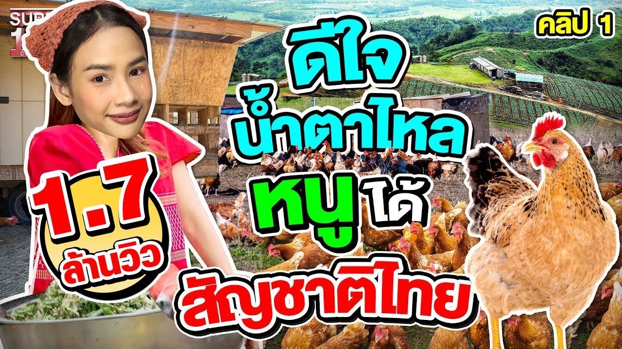 คลิป 1 | พรเดียวที่อยากได้ คือขอสัญชาติไทย #น้องมด เจ้าของฟาร์มไก่ไข่อารมณ์ดี | SUPER100