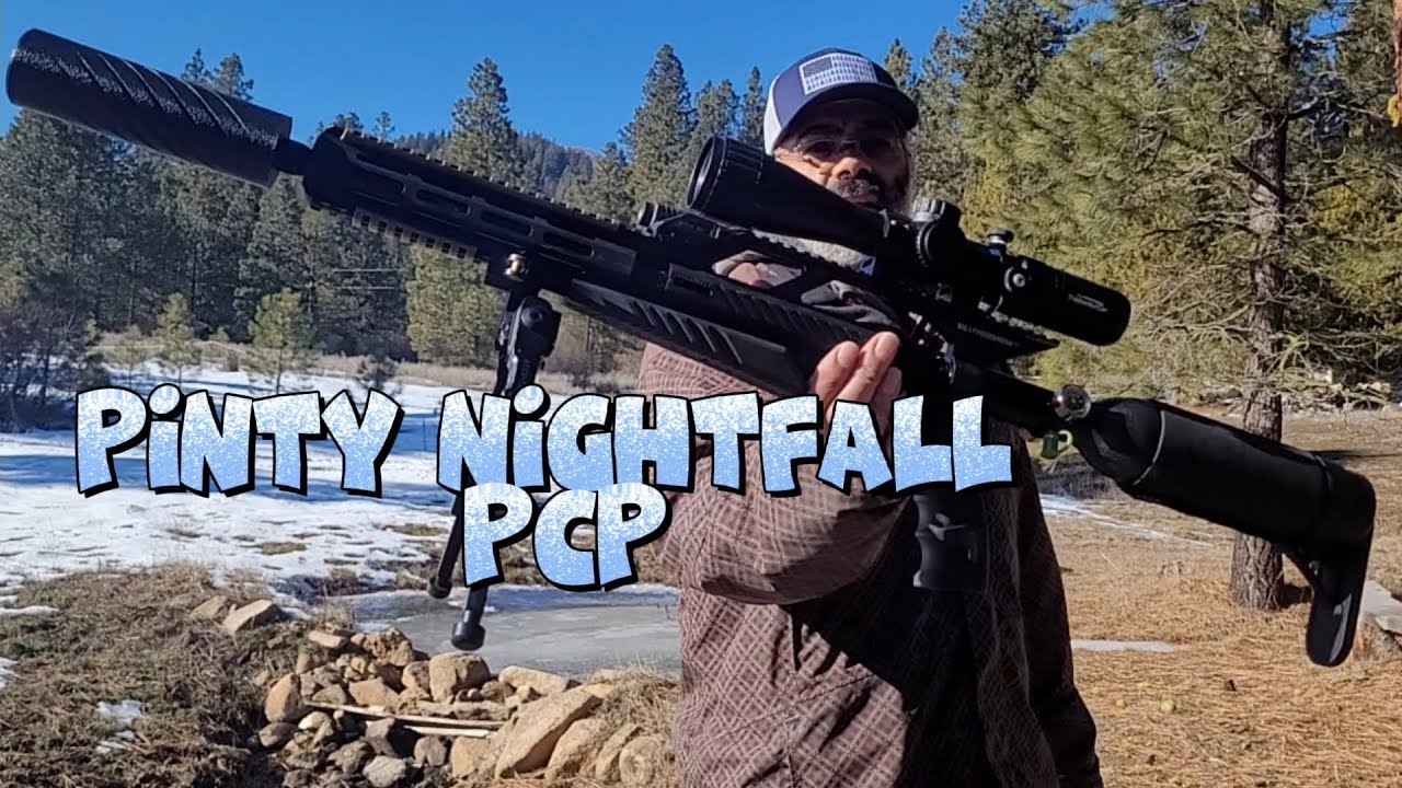 Pinty Nightfall Tactical 22cal pcp plinking🎯 below freezing 🥶 #pinty #airgun #pcp #fun