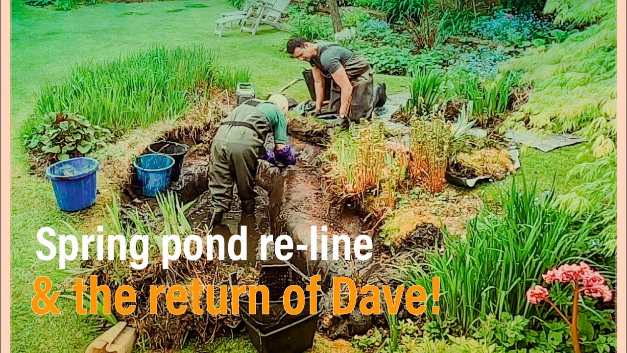Spring pond re-line (& the return of Dave!)
