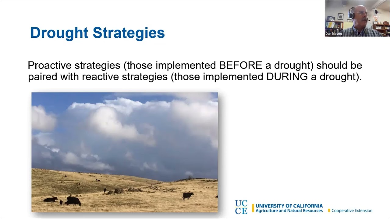 Drought Strategies: Weaning Calves EArly