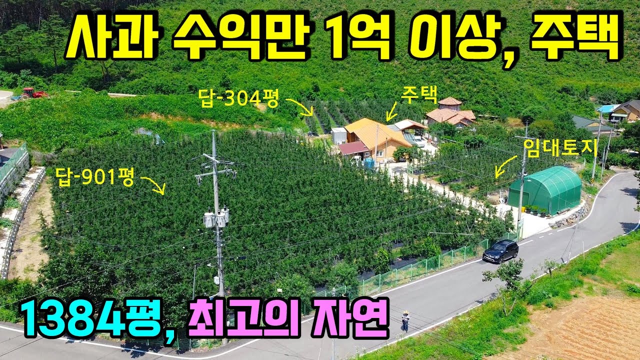 1189. 사과밭 수익이 1년 1억원이상으로 물 맑고 공기 좋은 최고의 입지에 위치한 전원주택입니다. 총 토지가 1384평으로 사과 나무가 1100그루나 된답니다.