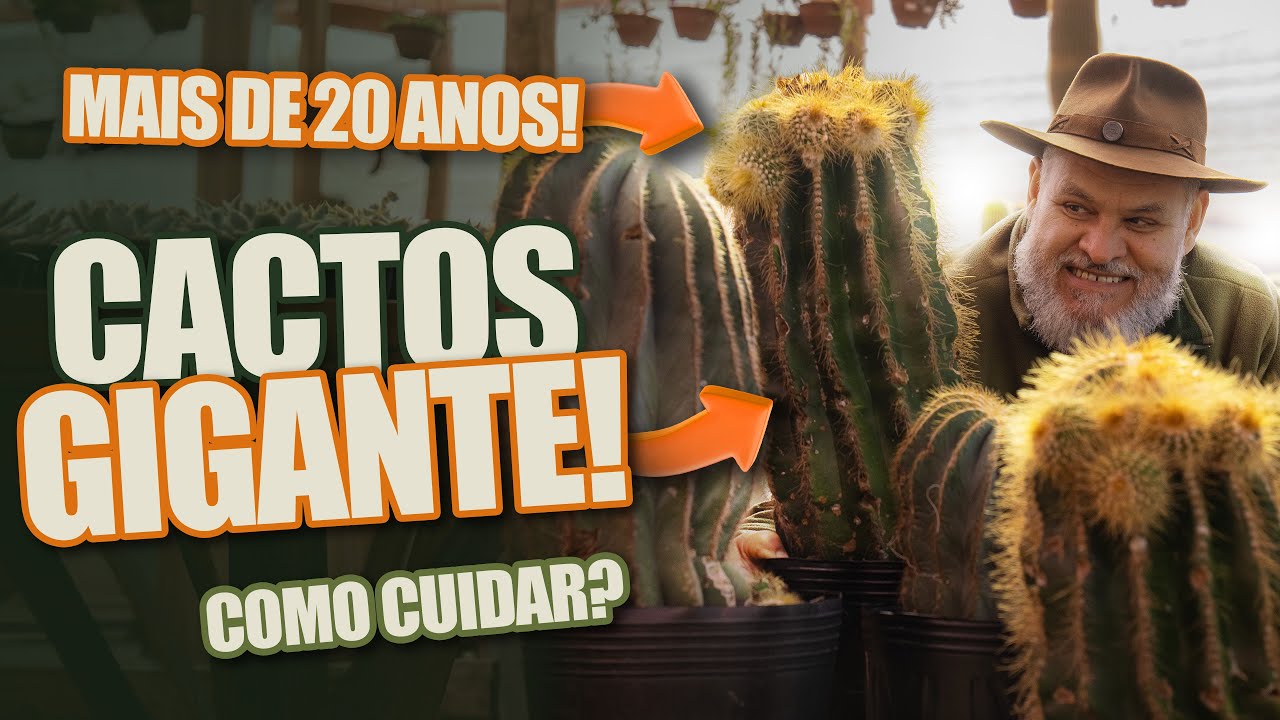 048 | Recebemos Plantas com mais de 15 anos…