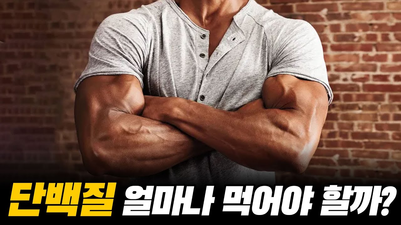 몸 키우는데 가장 효율적인 단백질 섭취량