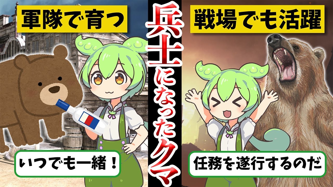 人間より有能！？兵士になった熊ヴォイテク【ずんだもん ゆっくり解説】