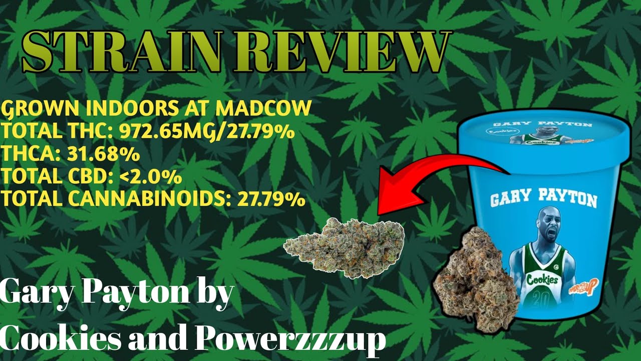 Legendary! Gary Payton by Cookies and Powerzzzup - Strain Review
