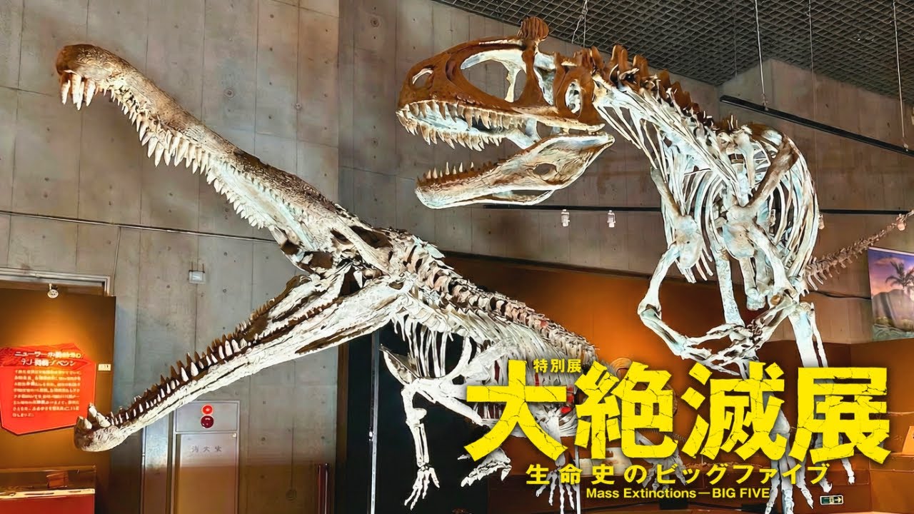 【科博】大絶滅展がヤバすぎた...地球史を変えた「5回の大絶滅」ビックファイブの凄さを実感！