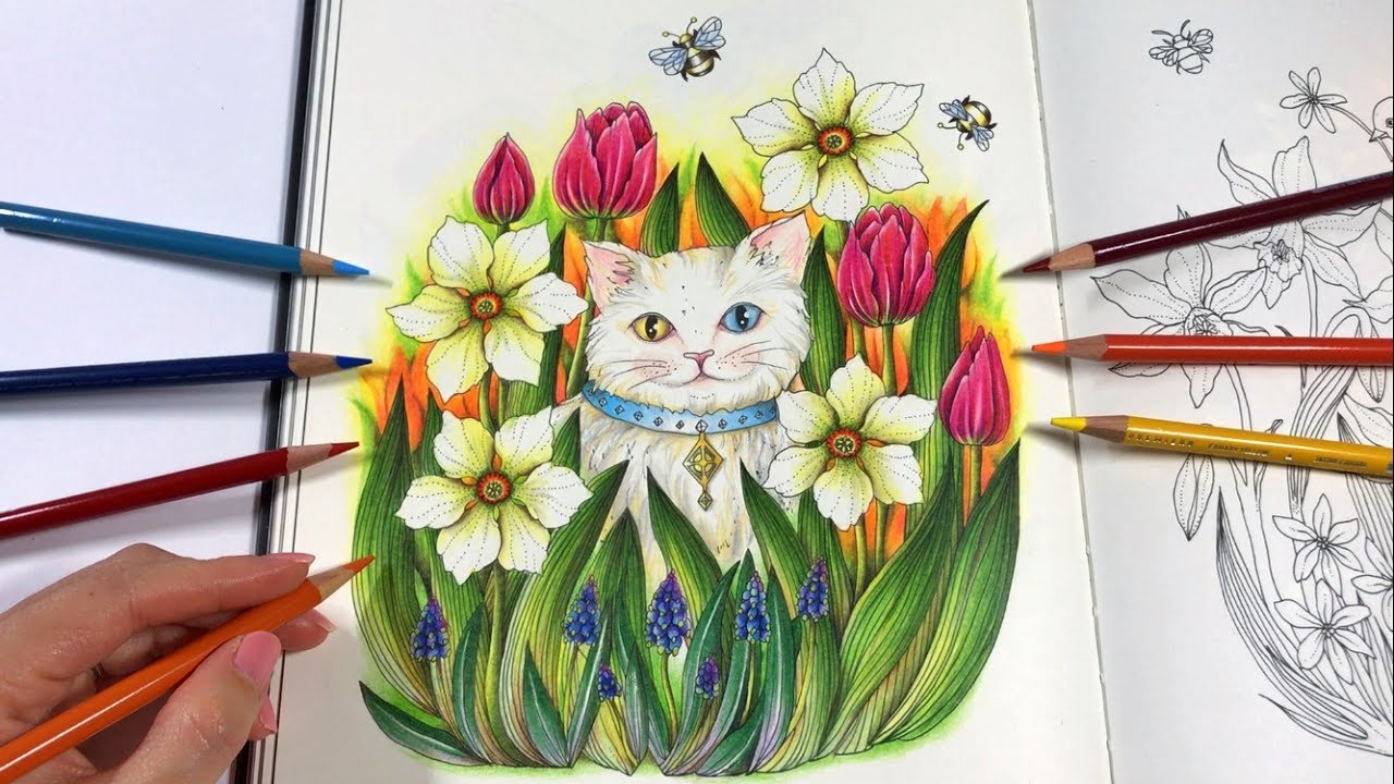 The Odd-Eyed Cat | Skymningstimman Coloring Book by Maria Trolle