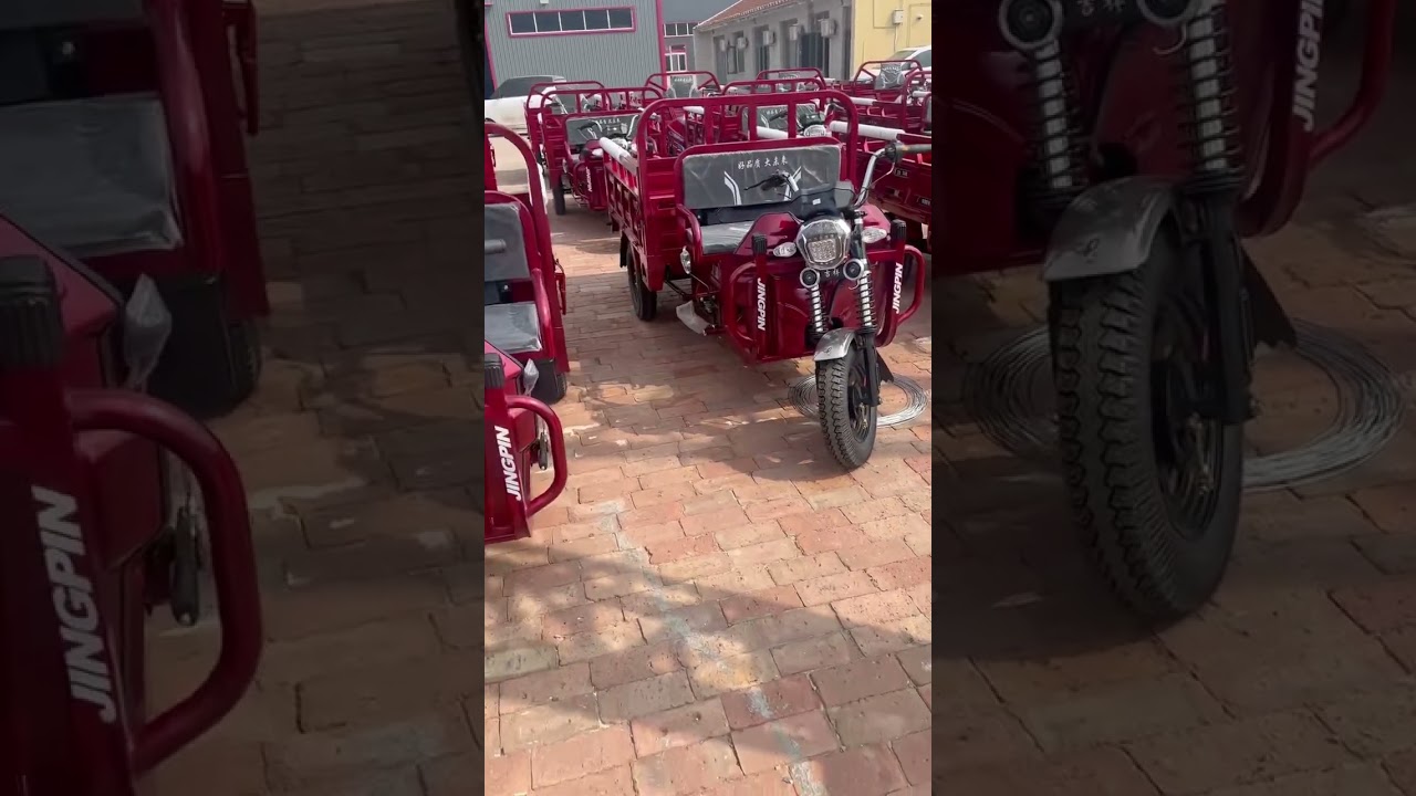 China loader rickshaw factory