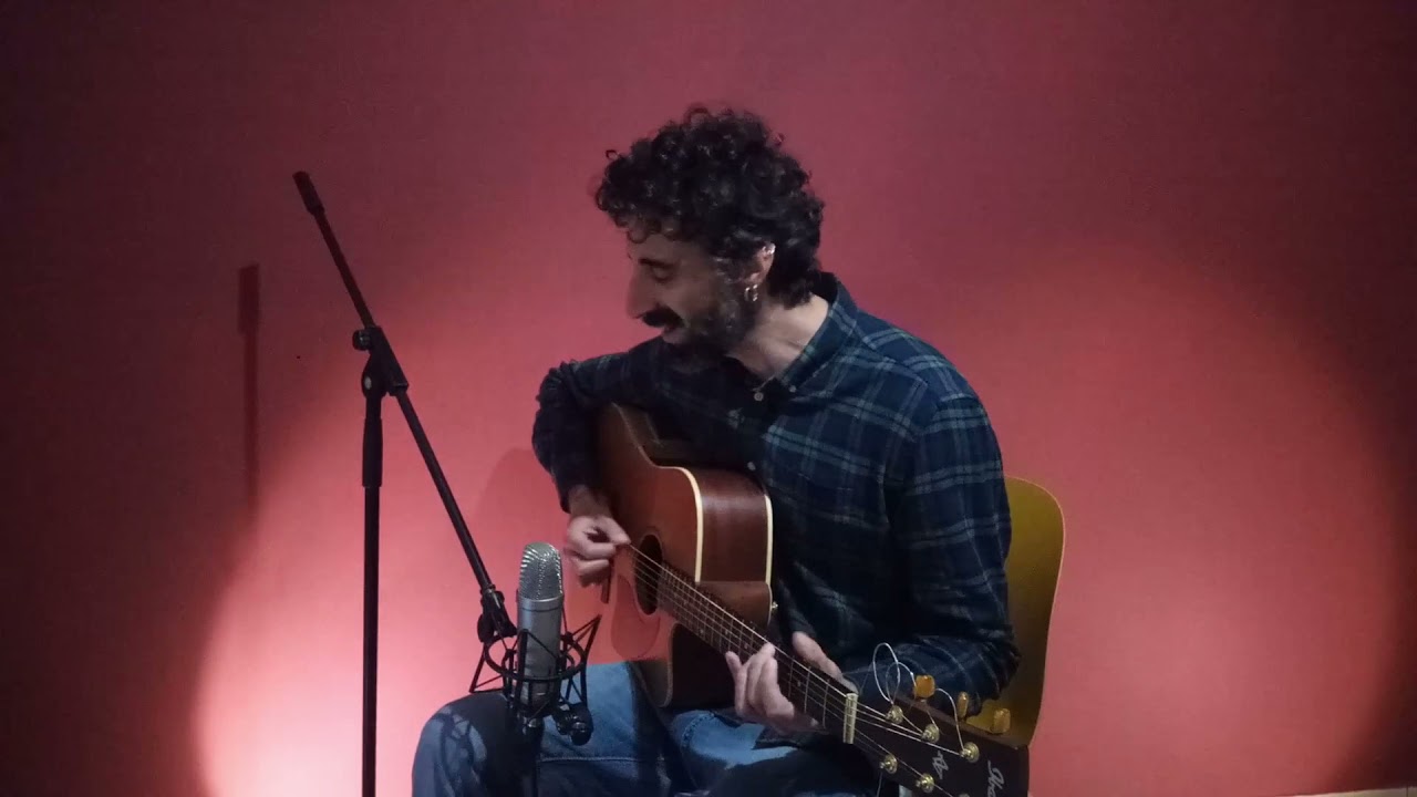 Appesi alla luna (The Zen Circus) - Bruno Ferrò cover