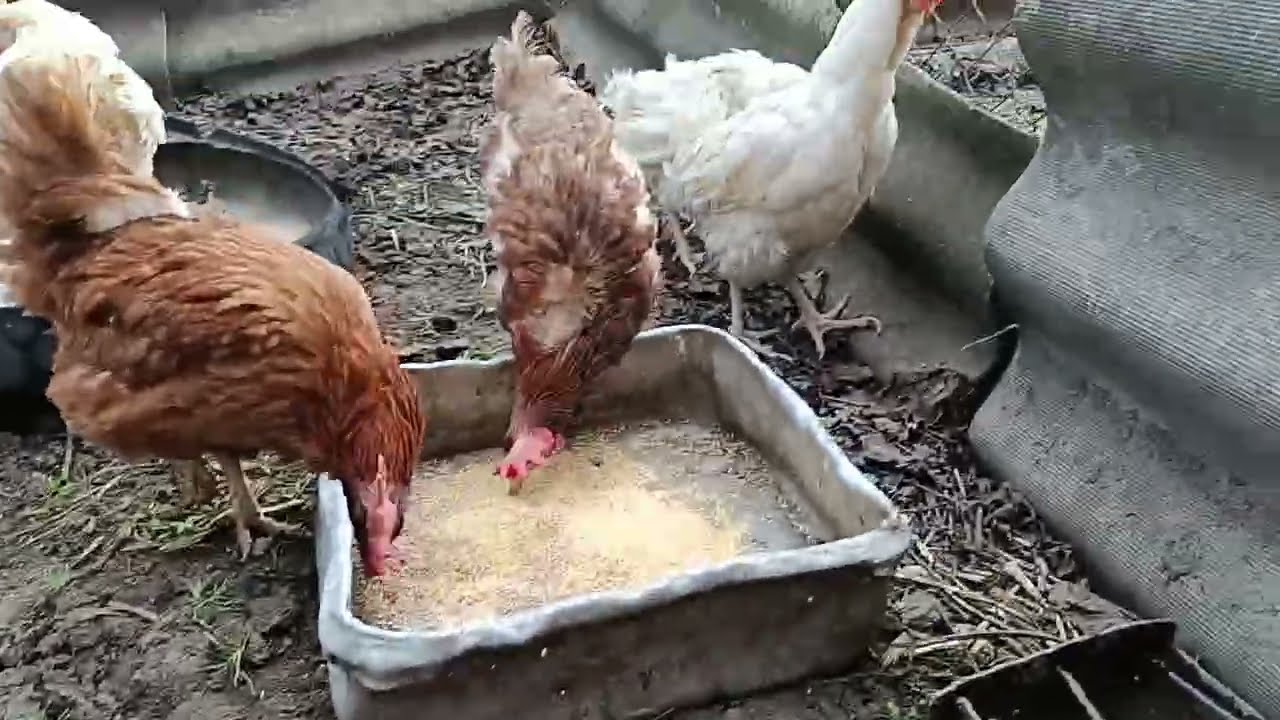 Распаковка. Не мала баба клопіт ,та купила...