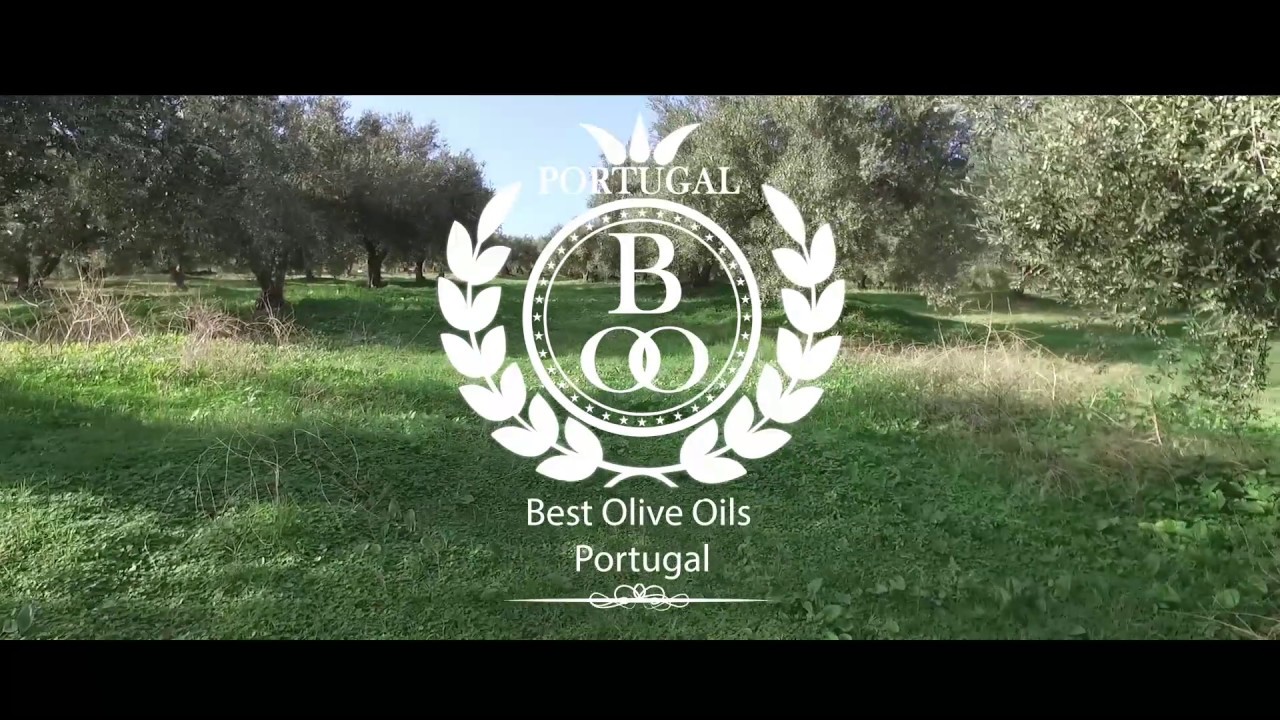 Best Portugal Olive oils