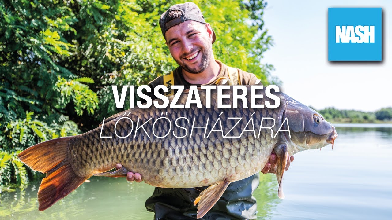 Csúcstámadás LŐKÖSHÁZÁN