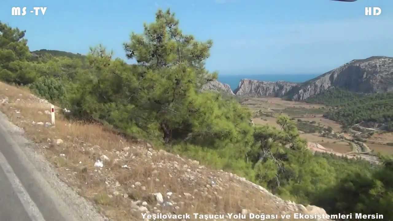 Yeşilovacık Taşucu Yolu Doğası ve Ekosistemleri Mersin Nature and Ecosystems Mersin Road