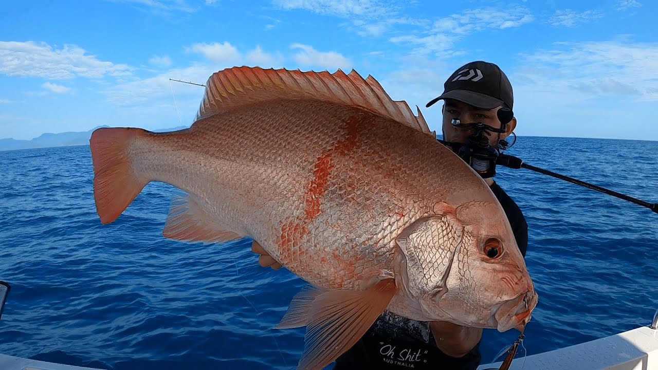 Large Mouth Nannygai Fishing, Massive Nannygai on Jigs and Bait