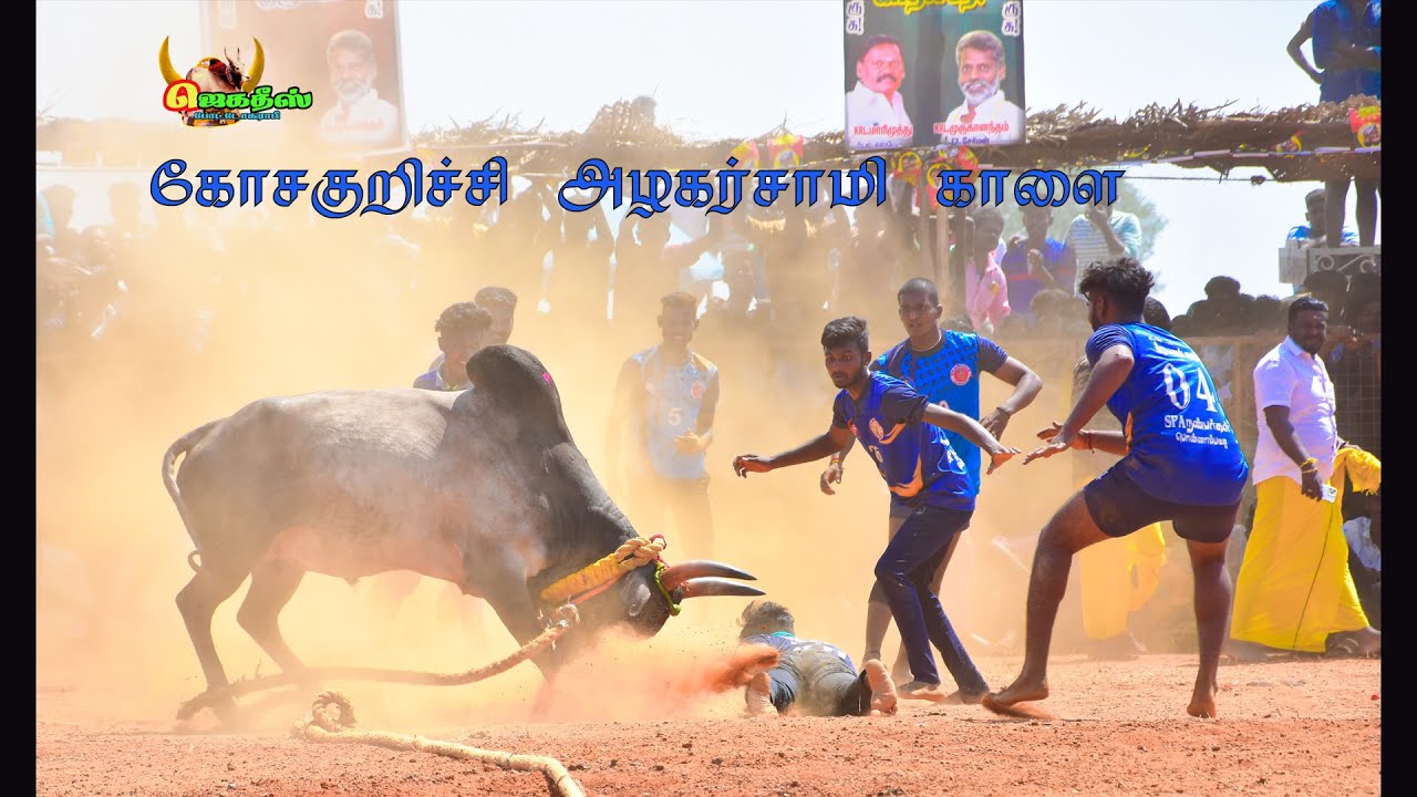 #கோசகுறிச்சி #அழகர்சாமி_அவரது_காளை_vs #SPA_குழு_வீரர்கள் #பொன்னாம்பட்டி
