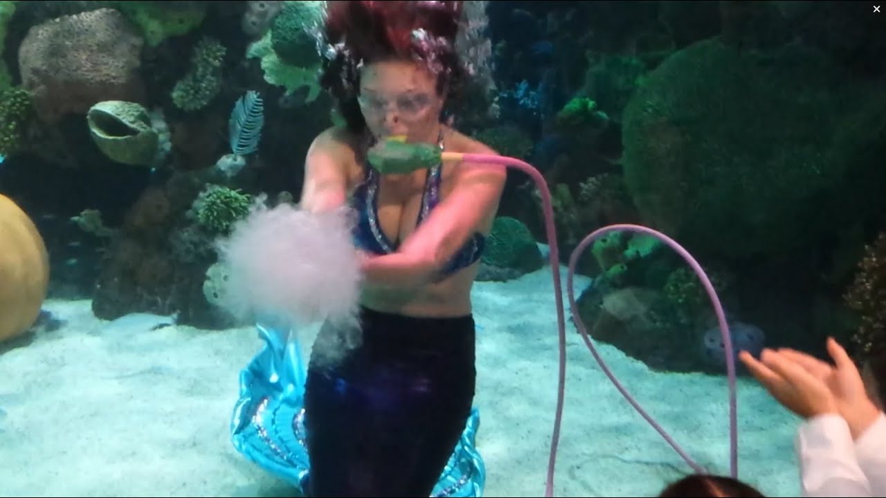 Playful Las Vegas Mermaid
