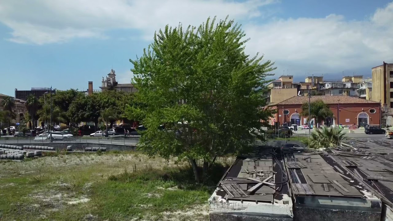 RIPOSTO V-LOG