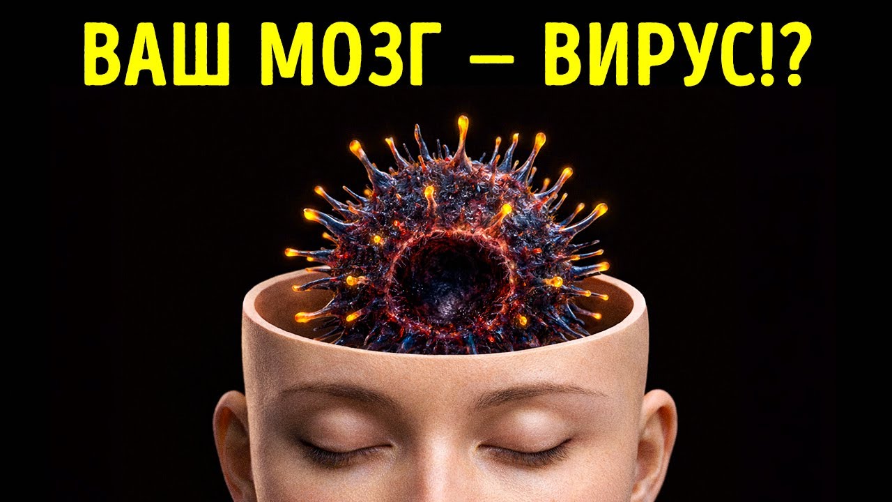 Факты о человеческом теле, которые вам не покажет зеркало