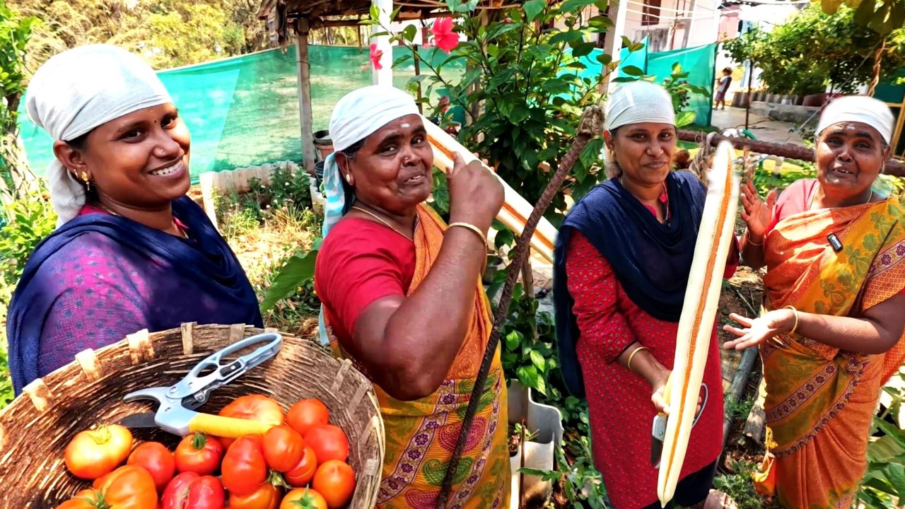 காலைலயே  வெடிச்சுருக்குங்க நாங்க இப்பத்தான் பார்த்தோம் | #indiakutty