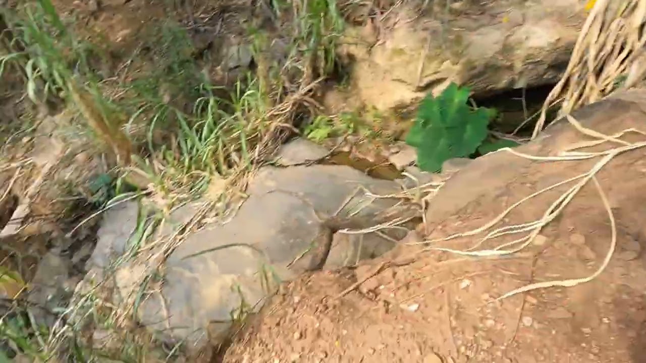 MXF 300 TS vale a pena??? É boa na trilha???