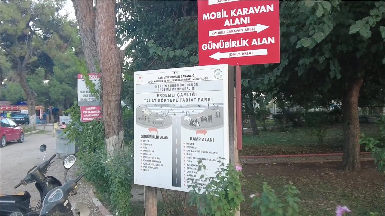 Mersin Erdemli çamlık