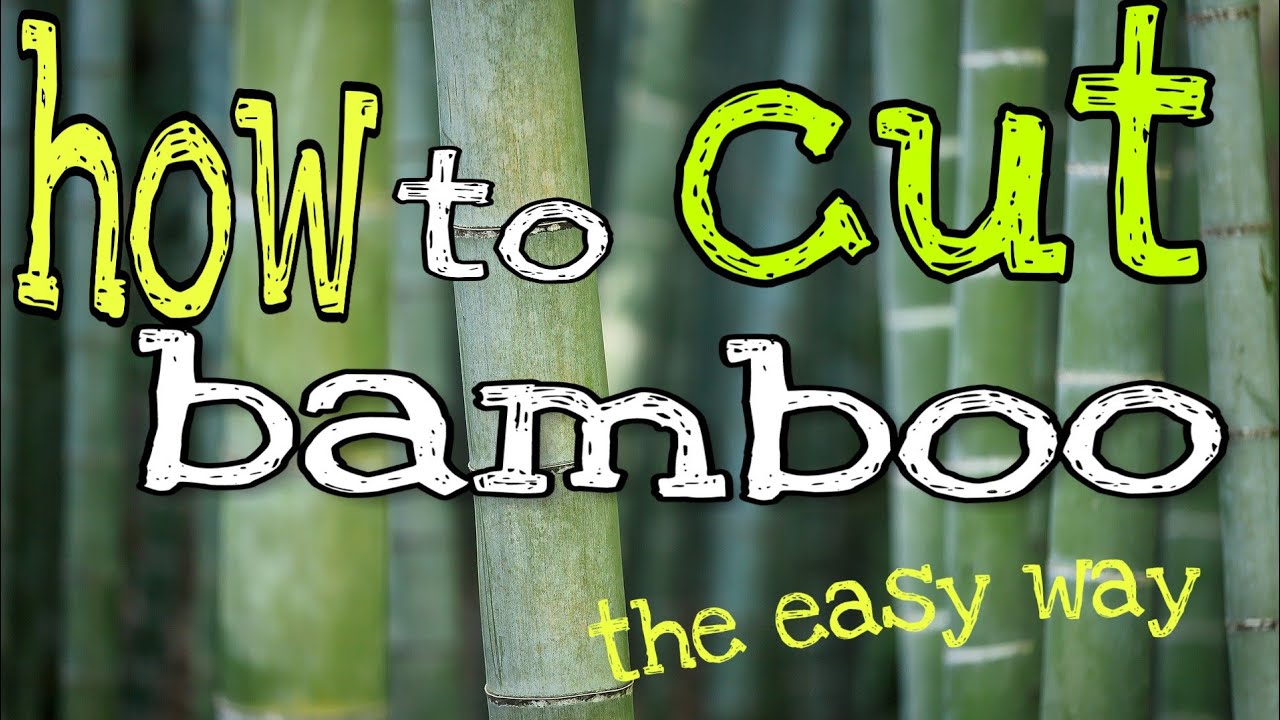 How to cut bamboo the easy way
