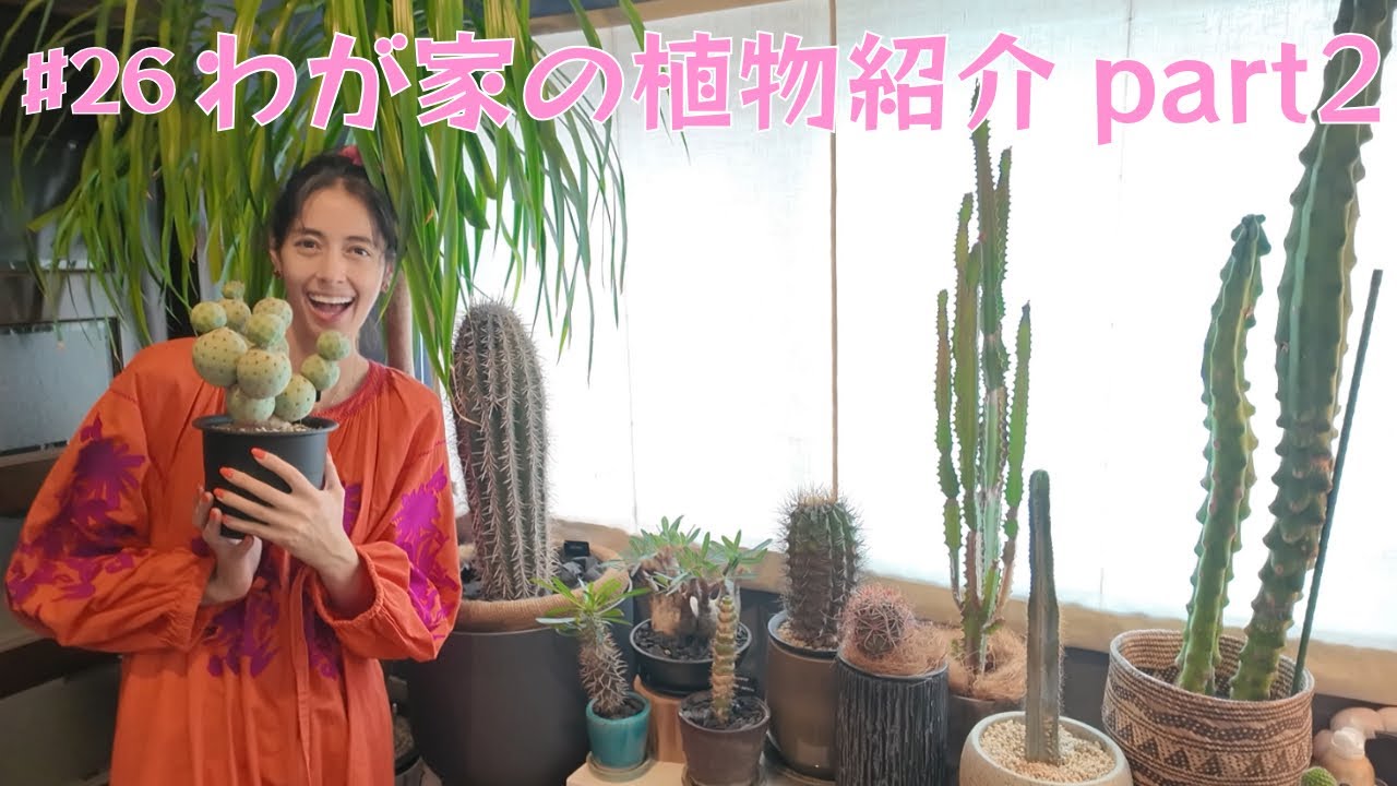 #26 わが家の植物紹介 part2 ／ Plants in my house part2