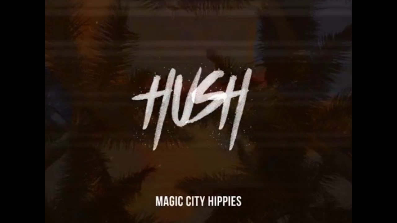 Magic City Hippies - HUSH