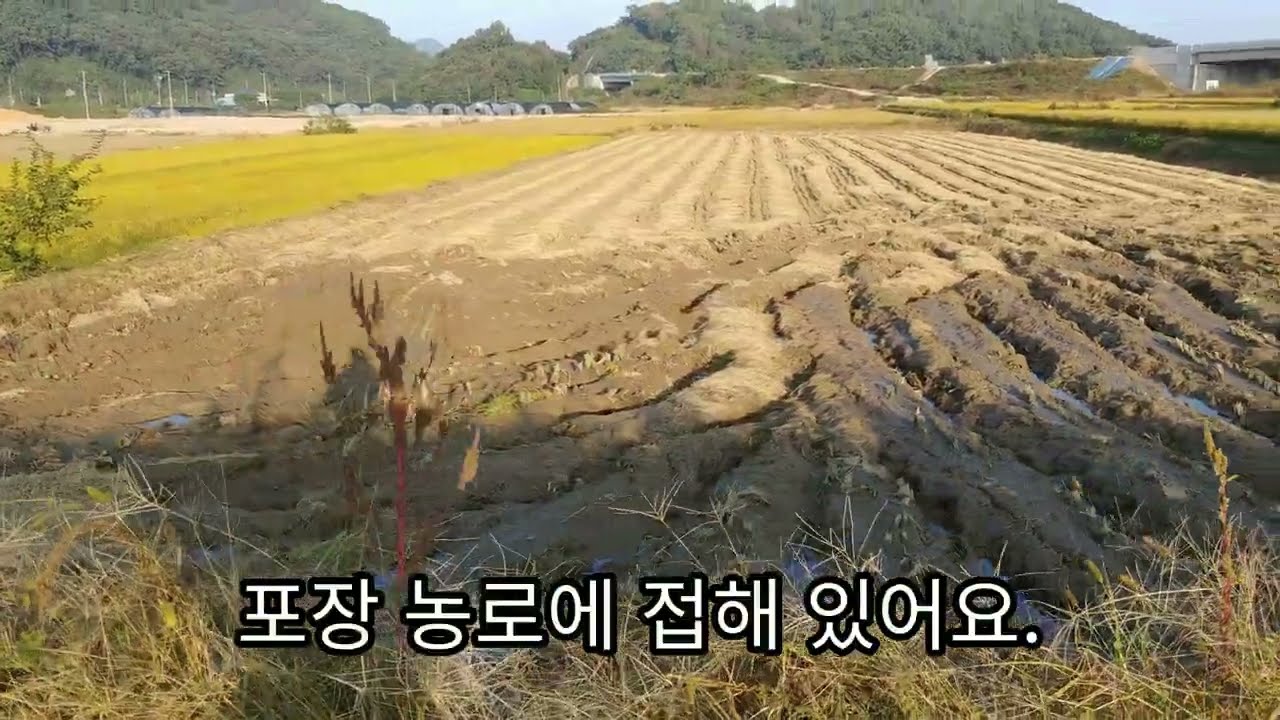 1473.[1억1천만원] 음성군 소이면 충도리 충청내륙고속화도로 근처 토지매매