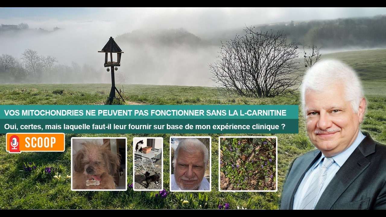VOS MITOCHONDRIES NE PEUVENT PAS FONCTIONNER SANS LA L-CARNITINE