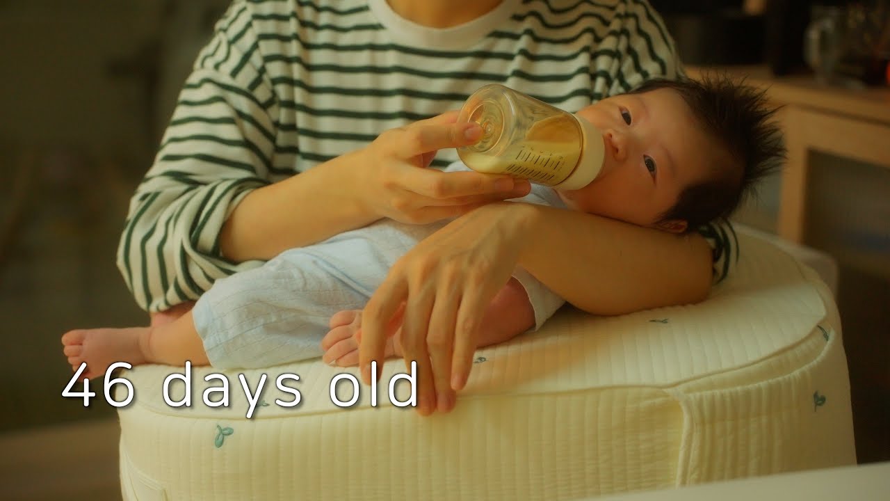 두 시간마다 다시 시작되는 하루 | 생후 46일 육아 브이로그 | 시작은 있었는데 끝은 모르겠습니다
