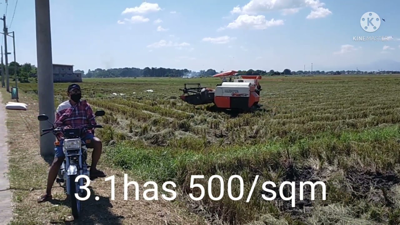 3.1has farm lot rice field @ gatiawin arayat pampanga.500/sqm