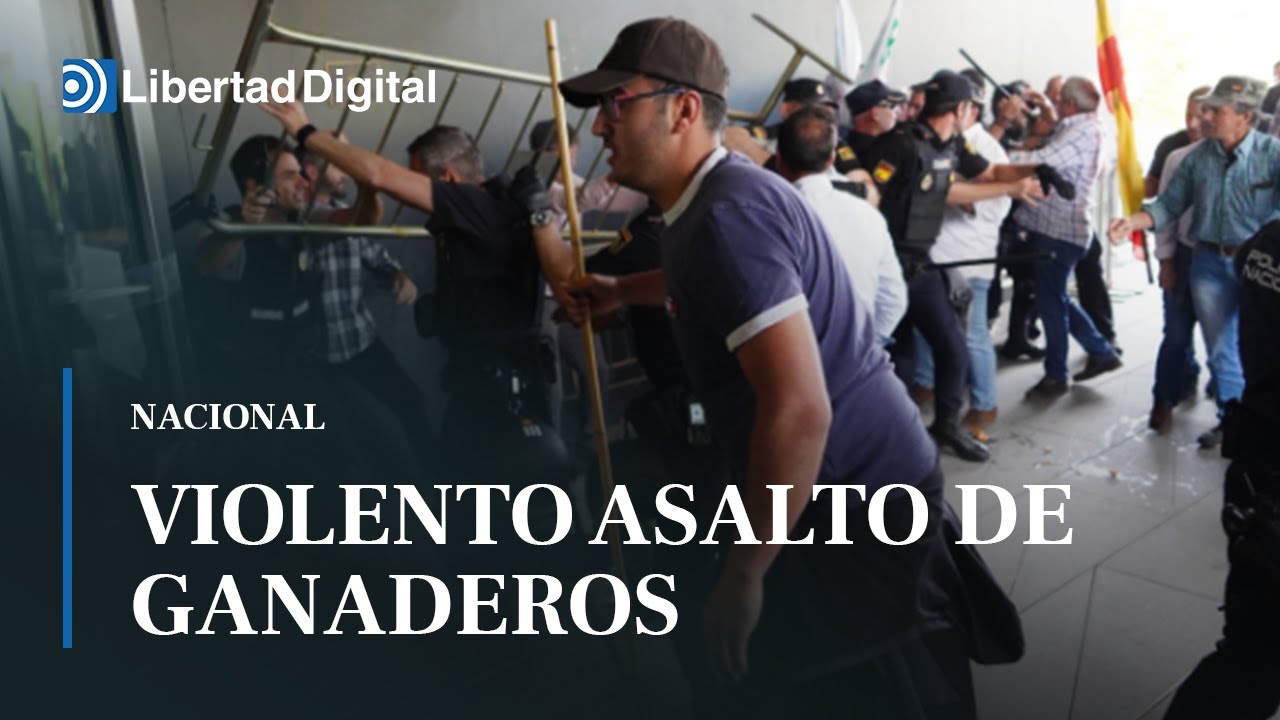 Ganaderos arruinados por la tuberculosis bovina asaltan la Delegación de la Junta en Salamanca