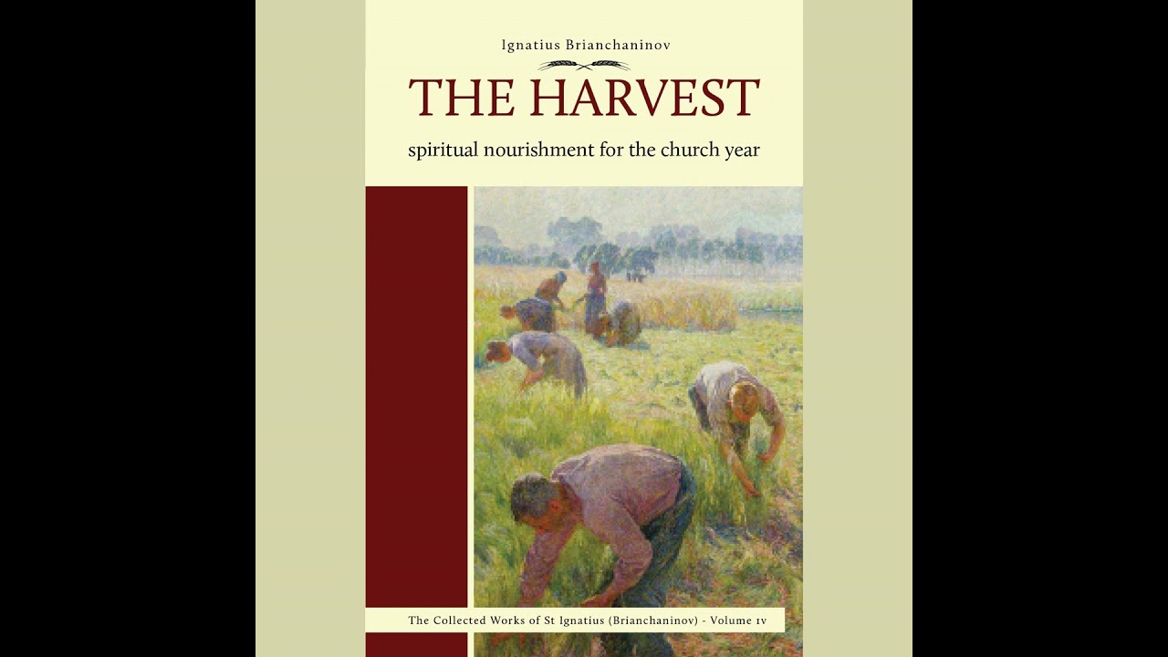 The Harvest - Jesus Teaches the People