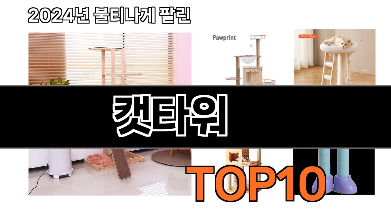 2025 가장 인기 있는 캣타워 추천 BEST10