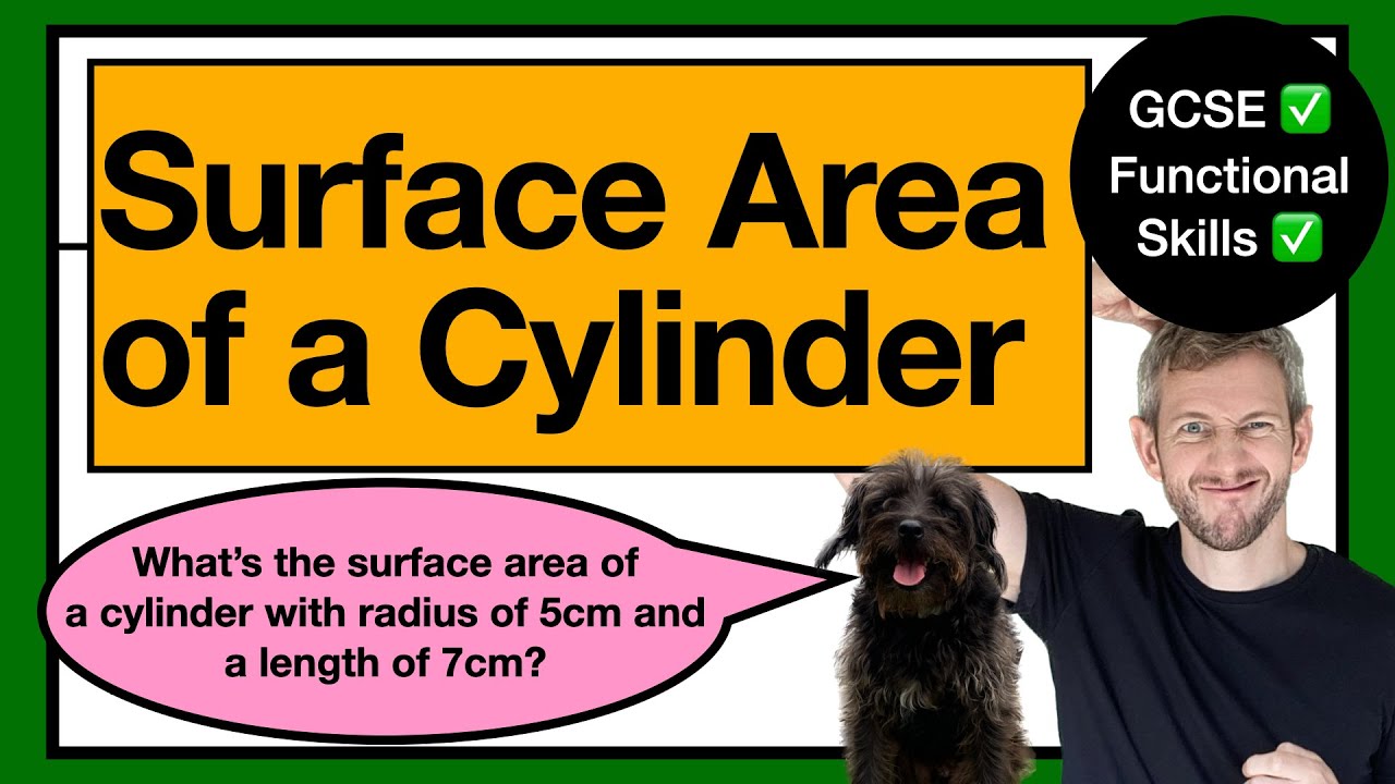 50. SURFACE AREA: Calculate the Surface Area of a Cylinder