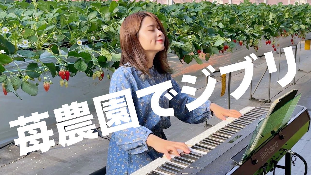 【前代未聞】いちご狩り農園でピアノ弾いてみたら…！？【お知らせあり】🍓🎹