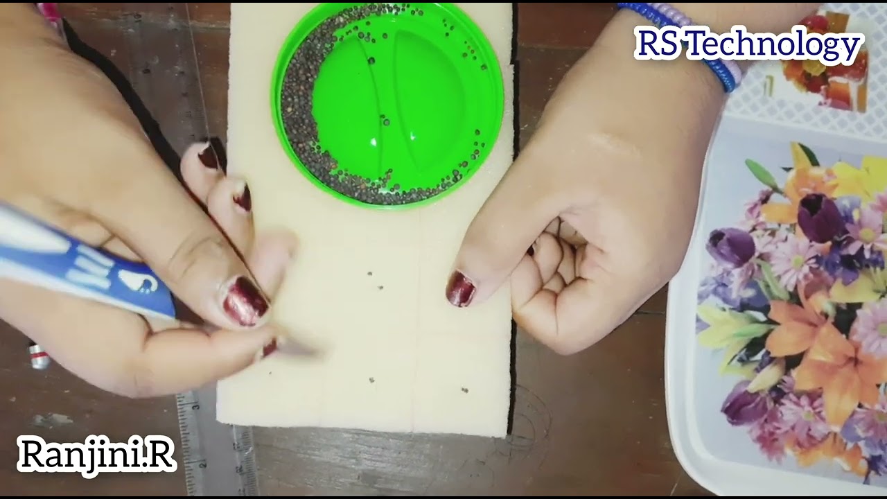 Biosystem technology practical | Sponge Nursery | ஸ்பொஞ் நாற்றுமேடை