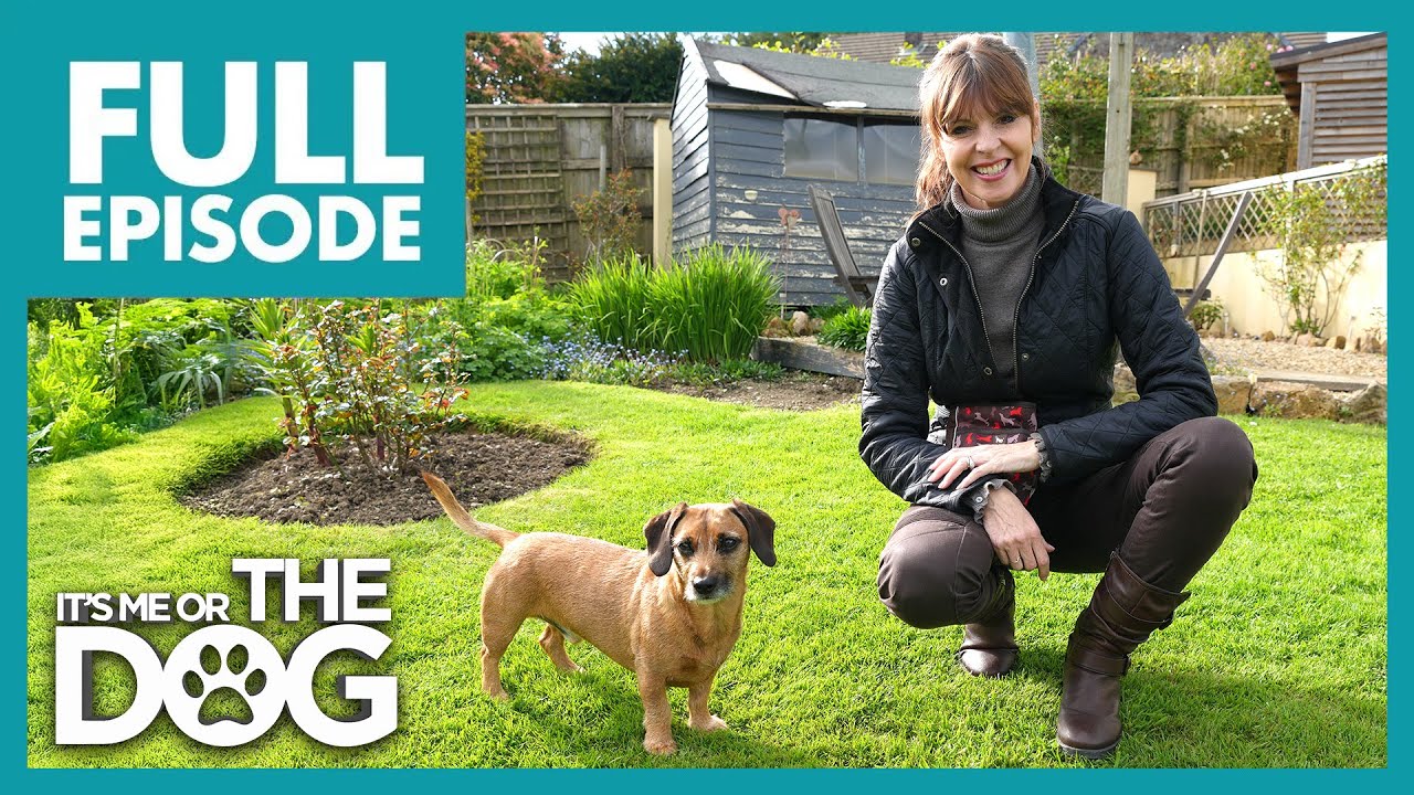 If Victoria Can't Help, She Might Lose Her Job! | Full Episode | It's Me or the Dog