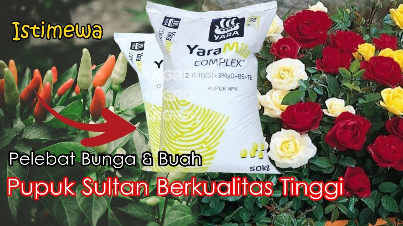 Unsur Hara Istimewa Dalam Pupuk NPK Yaramila Complex Tanaman Fase Generatif Pelebat Bunga Dan Buah