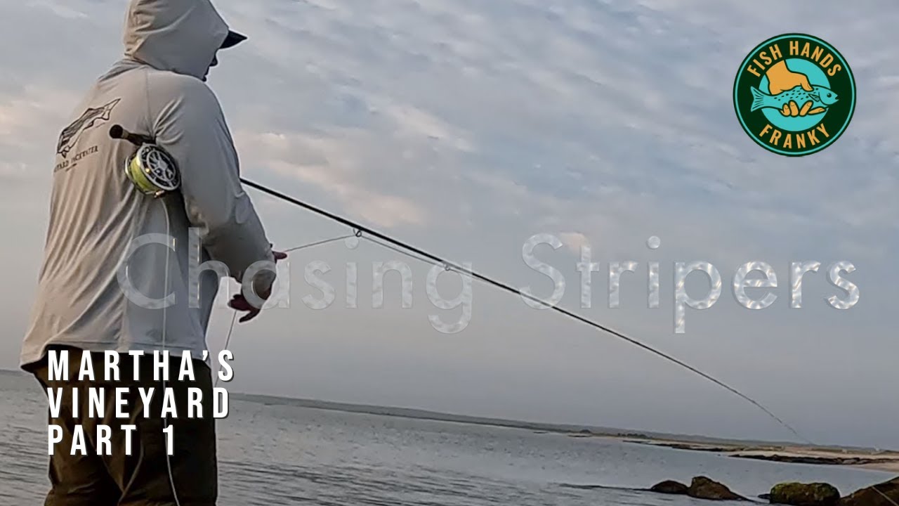 Fly Fishing for Striped Bass off Martha's Vineyard Part 1 of 2