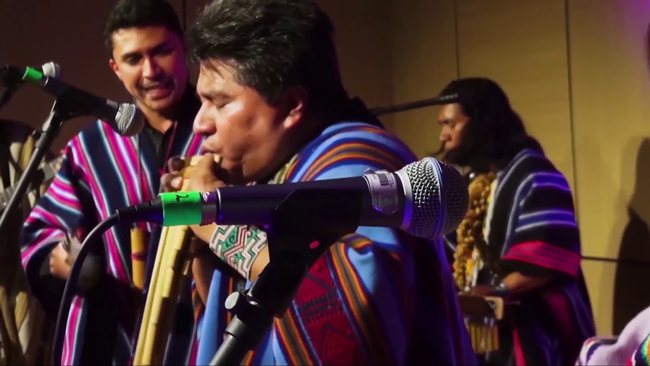 MADRE SELVA GRUPO PUTUMAYO EN VIVO
