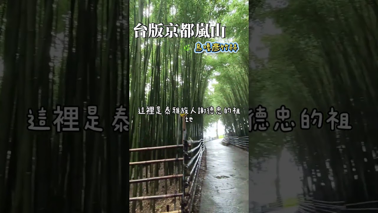 🌿 台版京都嵐山的秘境美景｜苗栗泰安烏嘎彥竹林 