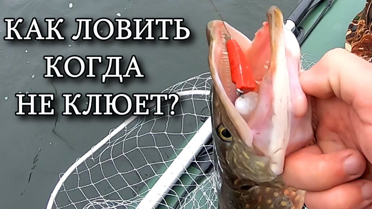 Как поймать рыбу когда не клюет? 2020 на носу, а мы на спиннинг ловим!))