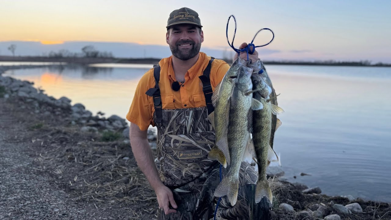 Catching AGGRESSIVE Walleyes From Shore With Swimbaits! (LIMIT)