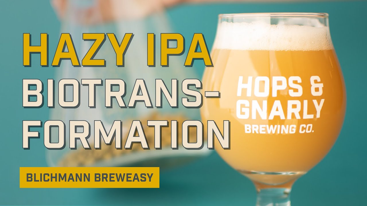 How to Brew Hazy IPA at Home: Biotransformation Dry Hop | EP26