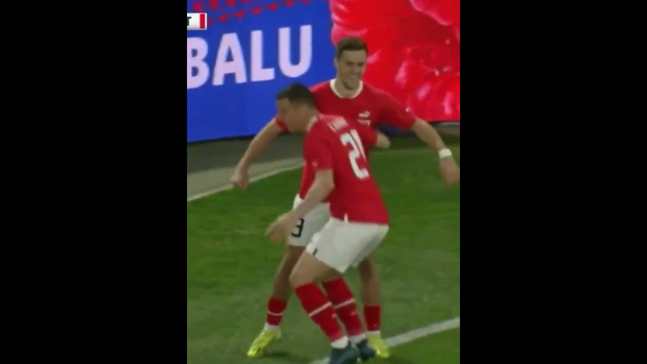 Christopher Baumgartner scores the fastest goal in international football!! (Austria 2-0 Slovakia)