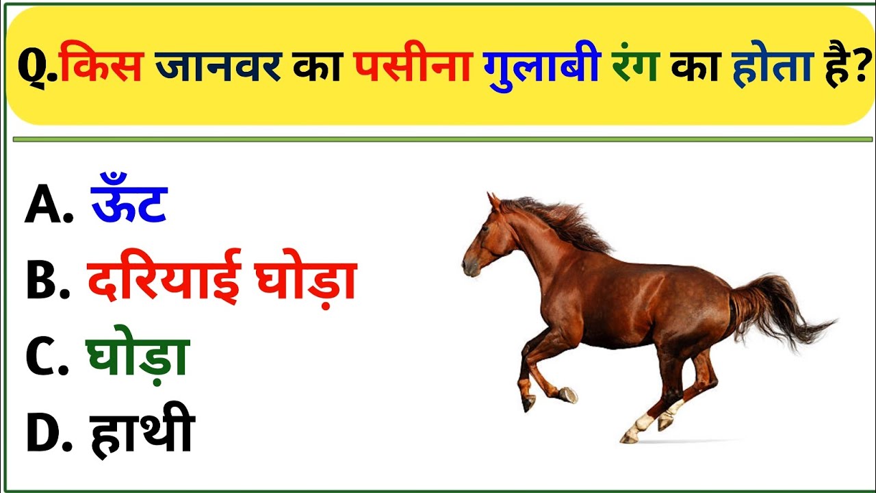 GK IN HINDI || GK QUESTION AND ANSWER || GK QUESTIONS || GK QUIZ ||