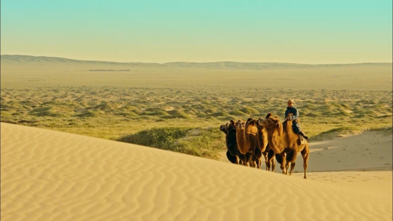 Camel Culture: Moving a Home, Reading the Sky—One Gobi Herder’s Bond with the Ship of the Desert
