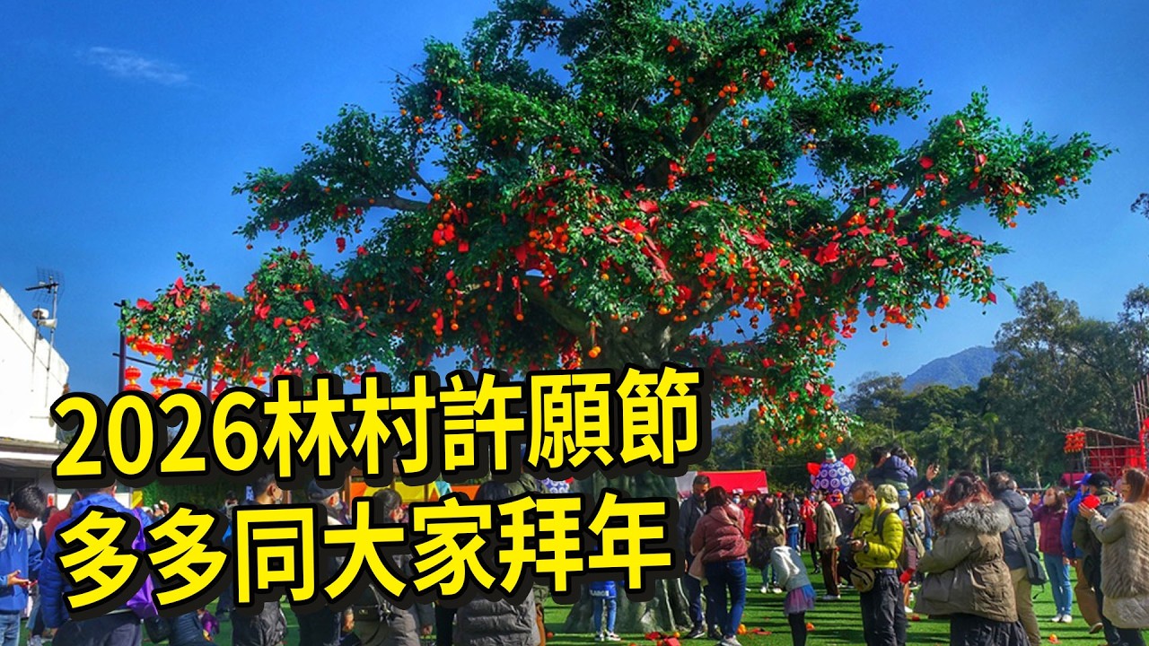 2026林村許願節多多同大家拜年 #多多 #維園 #維園年宵 #年宵